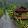 maulanalalu