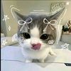 justna24