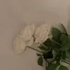 im_vhp