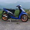 latif667