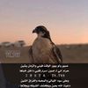 magad223