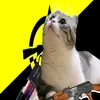 moxim_ancap