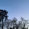 mvowovm