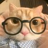 lupmchalatte