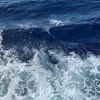 unknown_user04442