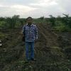 dhanidhani955
