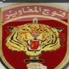 assemchaouk3