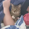 ragemager