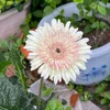 quynhanh_280796