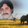rehmanabdul281