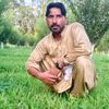 user06249755
