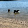 baileyandbaxterdoods