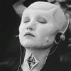 baldheadedbot