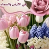 userh67z7ab3mh