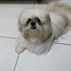 antoniasilva7975