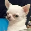 brianabelacosta3