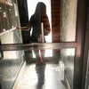 lev_2a