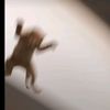 i_dontwannathinkoneup