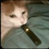 maxxiehammer