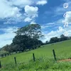 contaencerrada10