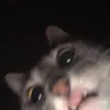 ___sairaa