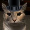 catwithahhat_1