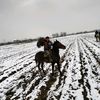 hursand_00