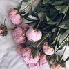 emiliejeanbaptist5