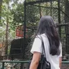 lexine