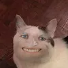 baebiihaykhocc