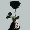 ___black_rose_