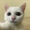 imyourtyra