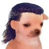 bejabel