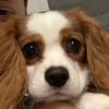 kacper7376