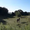 allthingschaos16