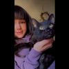 kaebear91