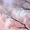 su__870