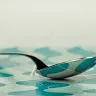 sajfuji05