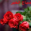 user6befycb6k0