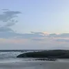 ntrmejrysj