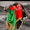 mdfazal501