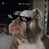 zooto_pluto.com0