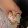 lngmyan
