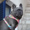 frenchiezeus23