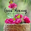 niteshagarawal5