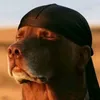 asianboiraeee