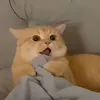 hihihihi_1125