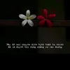 hoaphonglano92