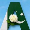 abdullahtiktokstar133
