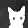 mimiwho21